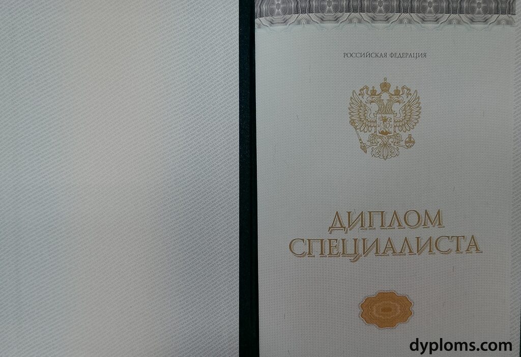 Как получить Дипломы программиста и успешно построить карьеру