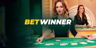 Understanding BetWinner Support Your Guide to Assistance